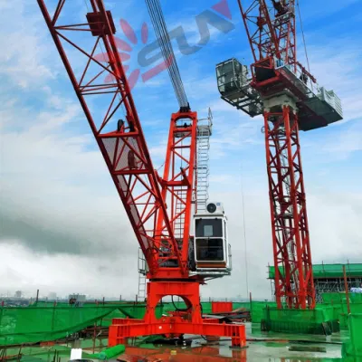 Sun Qtdc3023 Max Load 10ton Derrick Crane for Dismantle Tower Crane